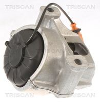 8505 29133 Suport motor TRISCAN 