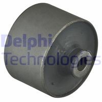 TD1101W suport, ax DELPHI 