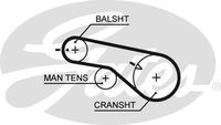 5570XS Curea de distributie GATES 